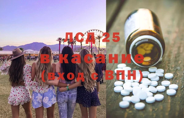 spice Горняк