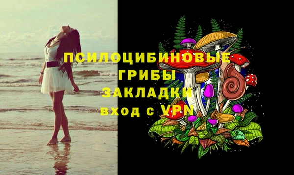 Альфа ПВП Горнозаводск