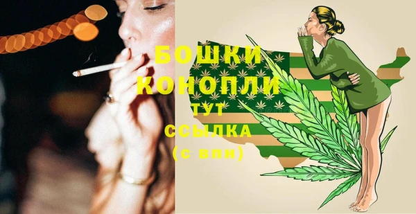 spice Горняк