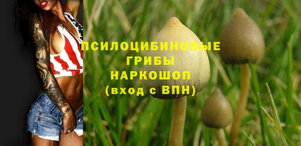 Альфа ПВП Горнозаводск